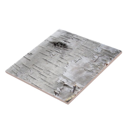 Weiße Birkenbaumrinde Fliese (Seite)