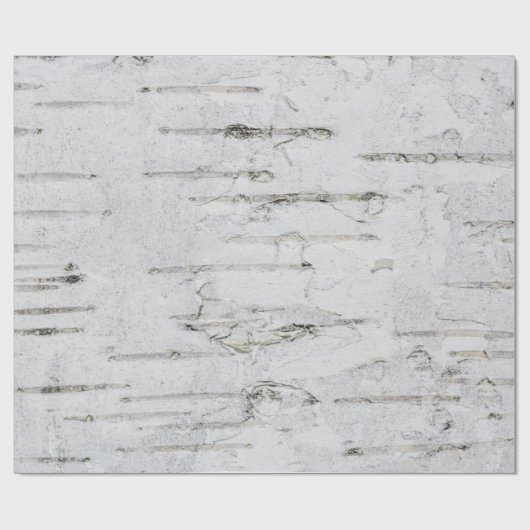 Weiße Birkenstruktur Geschenkpapier (Flach)