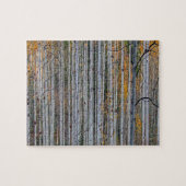 Weiße Birkenwälder Natur Puzzle (Horizontal)