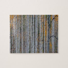 Weiße Birkenwälder Natur Puzzle