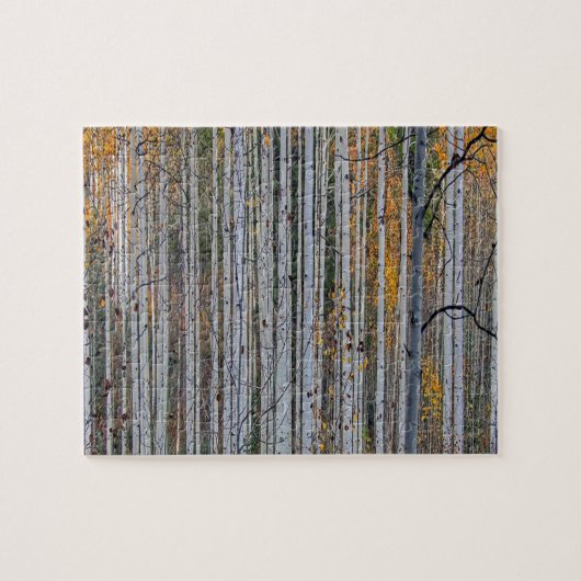 Weiße Birkenwälder Natur Puzzle (Horizontal)