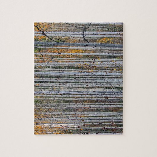 Weiße Birkenwälder Natur Puzzle (Vertikal)