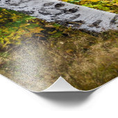 Weiße Birnen im Herbst Fotodruck (Ecke)