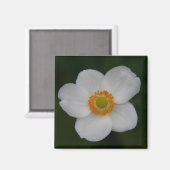 weiße Blätter Magnet (Vorderseite/Rückseite)