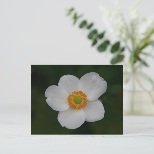 weiße Blätter Postkarte (Stehend Vorderseite)