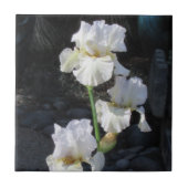 Weiße blühende Iris Fliese (Vorderseite)
