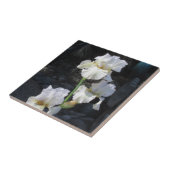 Weiße blühende Iris Fliese (Seite)