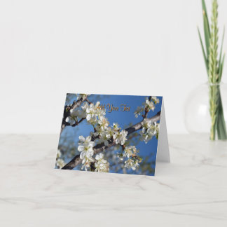 Weiße blühende Pflaumenzweigung im Frühling Karte