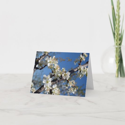 Weiße blühende Pflaumenzweigung im Frühling Karte (Vorderseite)