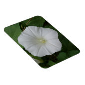 Weiße Blume 3 "x4"-Magnet Magnet (Rechte Seite)