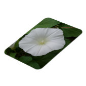 Weiße Blume 3 "x4"-Magnet Magnet (Linke Seite)