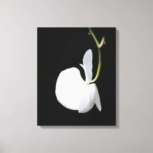 Weiße Blume auf schwarz ummantelte Leinwand (Vorderseite)