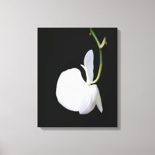Weiße Blume auf Schwarzes eingewickelter Leinwand