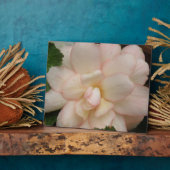 Weiße Blume Begonia Plaque Fotoplatte (Seite)