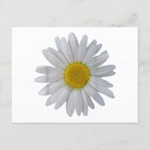 Weiße Blume, blühende Blüte, Blüten, Blume Postkarte