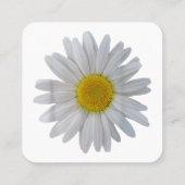 Weiße Blume, blühende Blüte, Blüten, Blume Quadratische Visitenkarte (Rückseite)