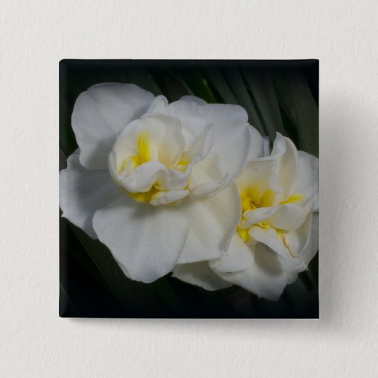 Weiße Blume Button (Vorderseite)