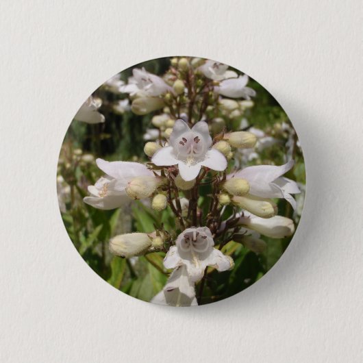 Weiße Blume Button (Vorderseite)