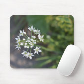 Weiße Blume Delikates Blumenblossom Foto Mousepad (Mit Mouse)
