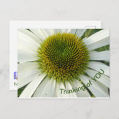 Weiße Blume Denken Sie an Sie Postkarte (Vorne/Hinten)