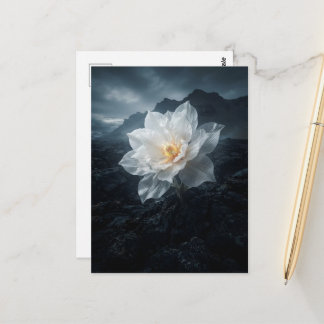 Weiße Blume, die aus Felsen wächst Postkarte