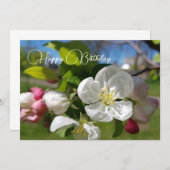 Weiße Blume eines Apfelbaumes. Happy Birthday Einladung (Vorne/Hinten)