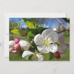 Weiße Blume eines Apfelbaumes. Happy Birthday Einladung