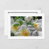 Weiße Blume Flat Dankeschön Karte (Vorne/Hinten)