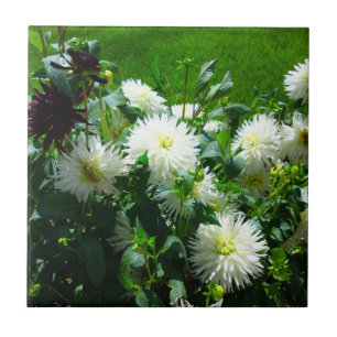 Weiße Blume Fliese