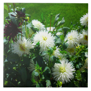 Weiße Blume Fliese