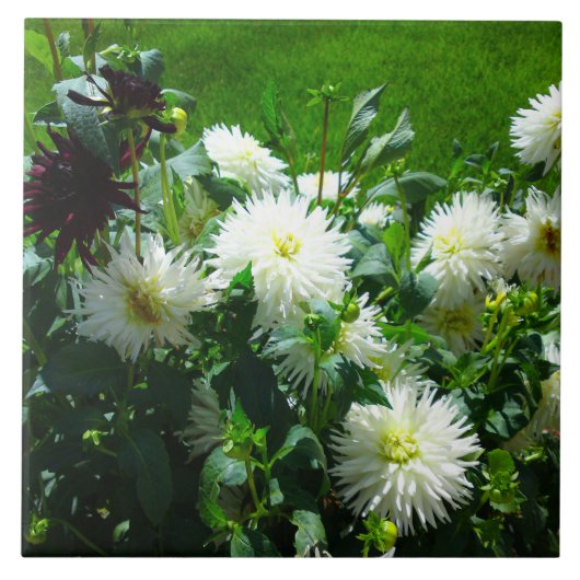 Weiße Blume Fliese (Vorderseite)
