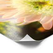 Weiße Blume Fotodruck (Ecke)
