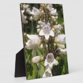 Weiße Blume Fotoplatte (Seite)