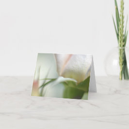 Weiße Blume geklappte Grußkarte Karte