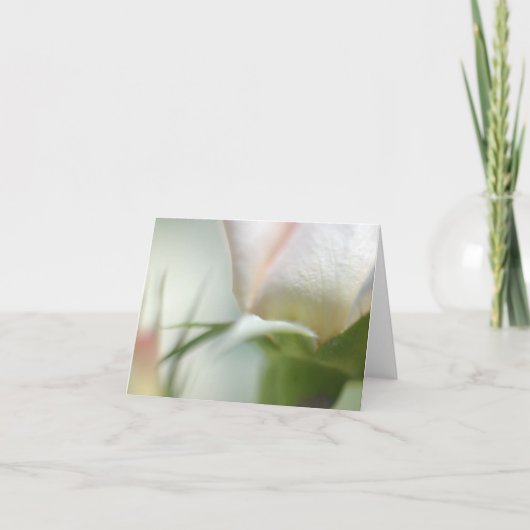 Weiße Blume geklappte Grußkarte Karte (Vorderseite)