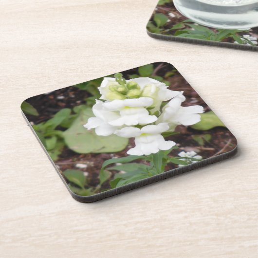 Weiße Blume Getränkeuntersetzer (Linke Seite)