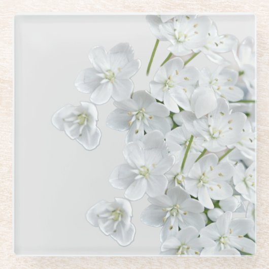 Weiße Blume Glasuntersetzer (Vorderseite)