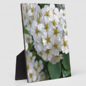 Weiße Blume glühen Fotoplatte (Seite)