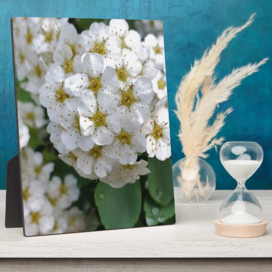 Weiße Blume glühen Fotoplatte (Seite)