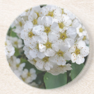 Weiße Blume glühen Getränkeuntersetzer