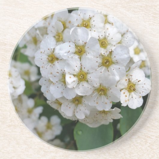 Weiße Blume glühen Getränkeuntersetzer (Vorne)