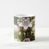 Weiße Blume Kaffeetasse (Mittel)