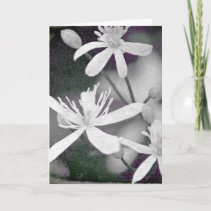 Weiße Blume Karte