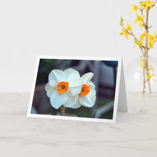 Weiße Blume Karte (Gelbe Blume)