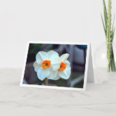 Weiße Blume Karte (Vorderseite)