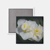 Weiße Blume Magnet (Vorderseite/Rückseite)