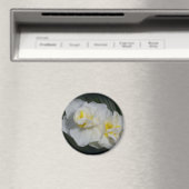 Weiße Blume Magnet (In Situ (Geschirrspüler))