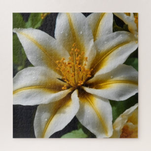 Weiße Blume mit gelben Akzenten Puzzle