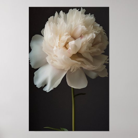 Weiße Blume mit grünen Blätter auf dunklem Hinterg Poster (Vorne)