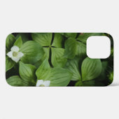 WEISSE BLUME MIT GRÜNEN BLÄTTER Case-Mate iPhone HÜLLE (Rückseite (Horizontal))